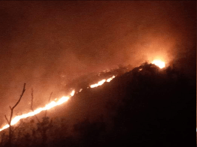 Orthodox Christian Youth Fight Fire In Forest of Debre Asbo Monastery