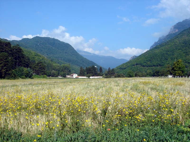 Constitutional Court of Kosovo confirmed property rights of Visoki Dečani Monastery – Communique of the Diocese