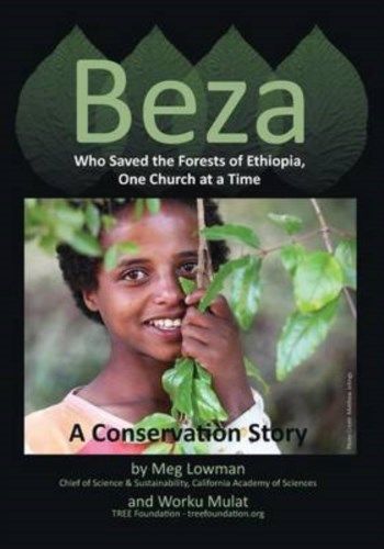 Beza, Who Saved the Forests of Ethiopia, One Church at a Time – A Conservation Story