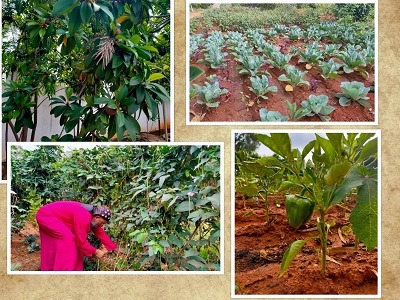 Metropolitan Seraphim Takes to Organic Farming During Lock down at Bengaluru Diocese