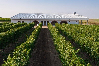 The Romanian Adamclisi Wine has Obtained Protected Designation of Origin