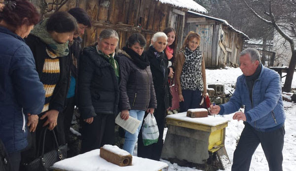 Women Beekeepers Tackle Challenges Together Growing – IOCC